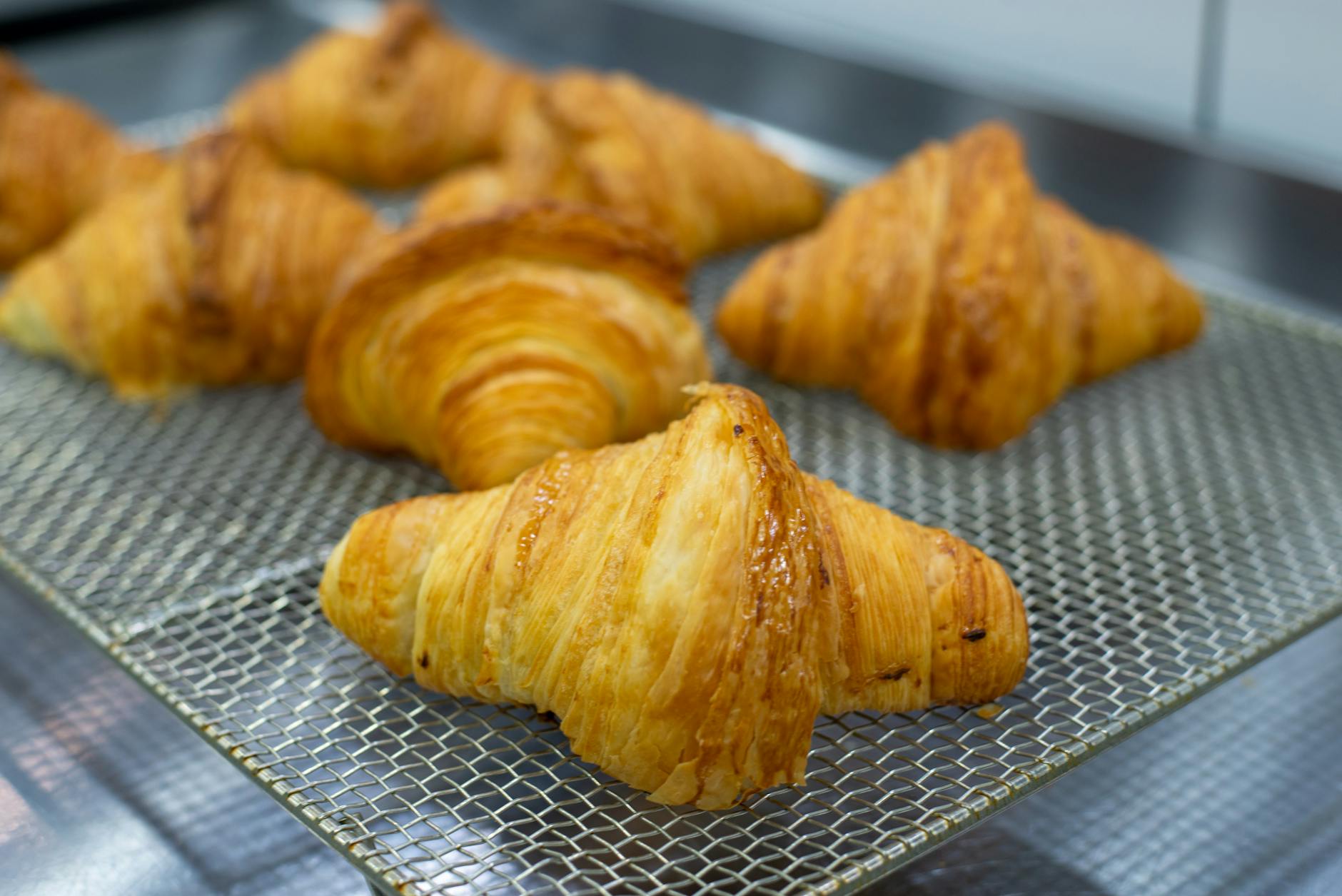 Goldbraune Croissants auf einem Kuchengitter